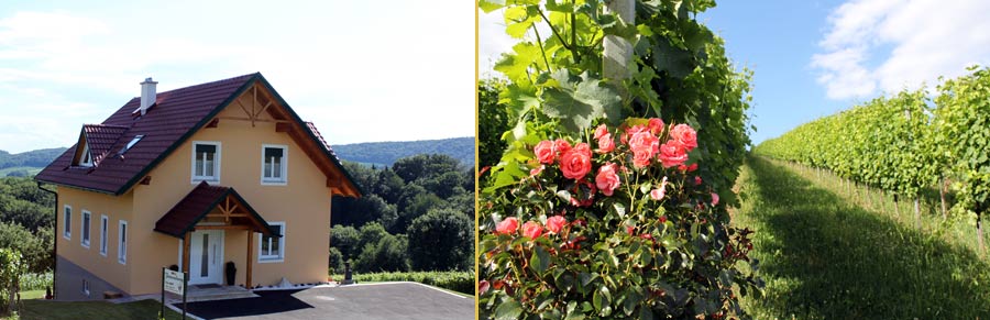 Ferienwohnung Sampt St
. Anna am Aigen